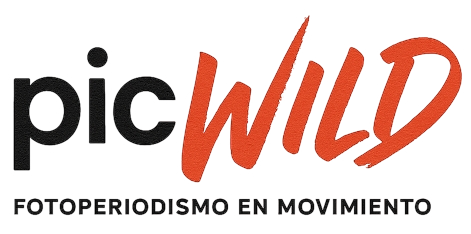 PicWild – Fotoperiodismo en movimiento